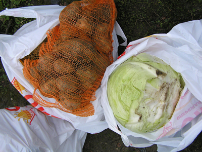 "Единая Россия" помогла раздать продукты всем желающим