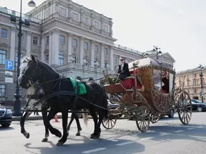 В преддверии Года лошади Цивилев предложил запустить по Петербургу конки