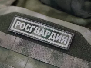 Свыше 800 росгвардейцев следили за порядком в новогоднюю ночь в Петербурге