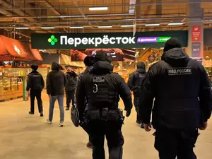 Цивилев и Милонов попросили главу МВД проверить охранные предприятия