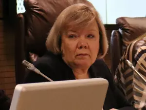 Врио председателя комитета по госзаказу назначена Наталия Литвинова