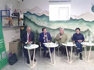 Соловейчик назвал худшие районы по доступности раздельного сбора