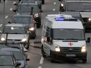 Новый случай заражения оспой обезьян зафиксировали в Петербурге