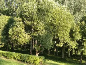 Комитет по благоустройству завершил работы в парке Сахарова за 608 млн рублей