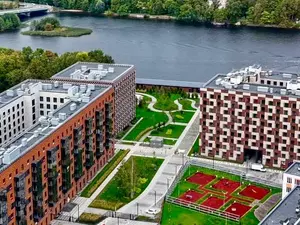 Петербургский конный клуб обратился к Бастрыкину после расторжения аренды