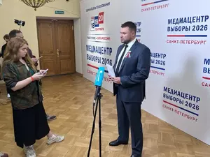 Член ГИК Кузьмин раскритиковал кандидатов из-за проблем с наблюдателями