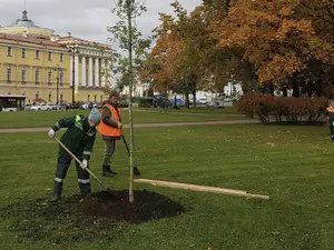 ���� ���� �������� ���� ������ �� � ����������������� ������ ������ ������������� ����������� ��-�� ��������� ��� ���������� 