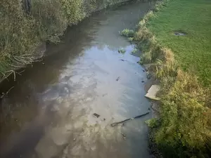 Стройка в Мурино окрасила воду в Охте в коричневый цвет