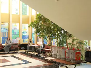 Иноагентам и сенаторам в Петербурге запретят наблюдать за референдумами