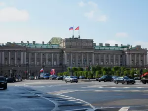 Рябоконь: ЗакС не рассматривает идею о введении налога на выгул собак