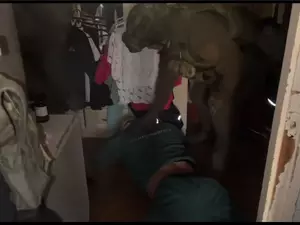 Полиция Петербурга раскрыла группу инсценировщиков ДТП