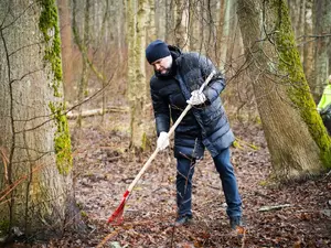 Разумишкин навел порядок на субботнике в Курортном районе