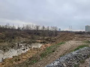 Ущерб от загрязнения реки Утки оценили в 67 млн рублей