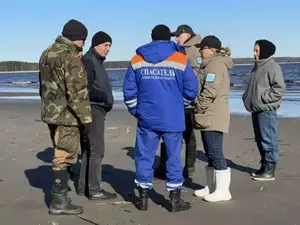 На берегу Кургальского заказника в Кингисеппском районе нашли нефтепродукты