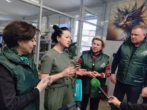 Шишкина, Менделеева и Алескеров не без проблем передали помощь кошачьему приюту
