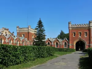 РБК: Дворцовые конюшни в Петергофе выставят на торги