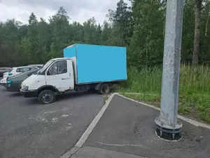 Ходосок рассказал о борьбе с "кочующей" рекламной "Газелью"