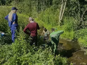 Прокуратура проверит племзавод бывшего вице-губернатора Петербурга Локтионова