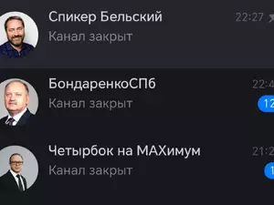 Петербургские депутаты удалили свои страницы в соцсетях