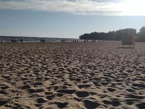 Роспотребнадзор не нашел в Петербурге пригодных для купания водоемов