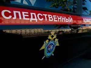Мужчине в Ленобласти вменяют демонстрацию нацистской символики в СИЗО