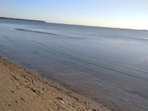 Один водоем в Петербурге признали пригодным для купания
