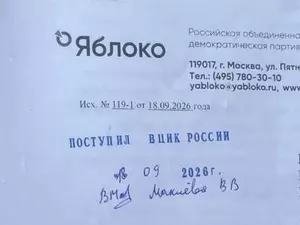 Рыбаков попросил Памфилову вмешаться из-за недопуска наблюдателей "Яблока"