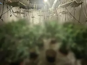���� ���� �������� �������� ������� ���� �������������� � ���������� � ����������